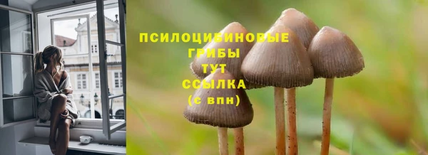 мет Армянск
