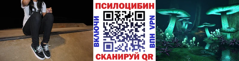 omg маркетплейс  Каргат  Галлюциногенные грибы Psilocybine cubensis  где купить наркоту 